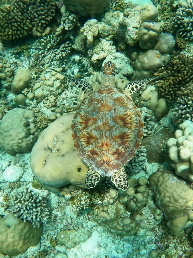 White Coral Rasdhoo Hotell Eksteriør bilde